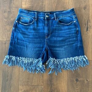 Judy Blue Denim Fringe Shorts size 2XL